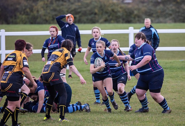 西甲的坚韧 西甲的坚韧